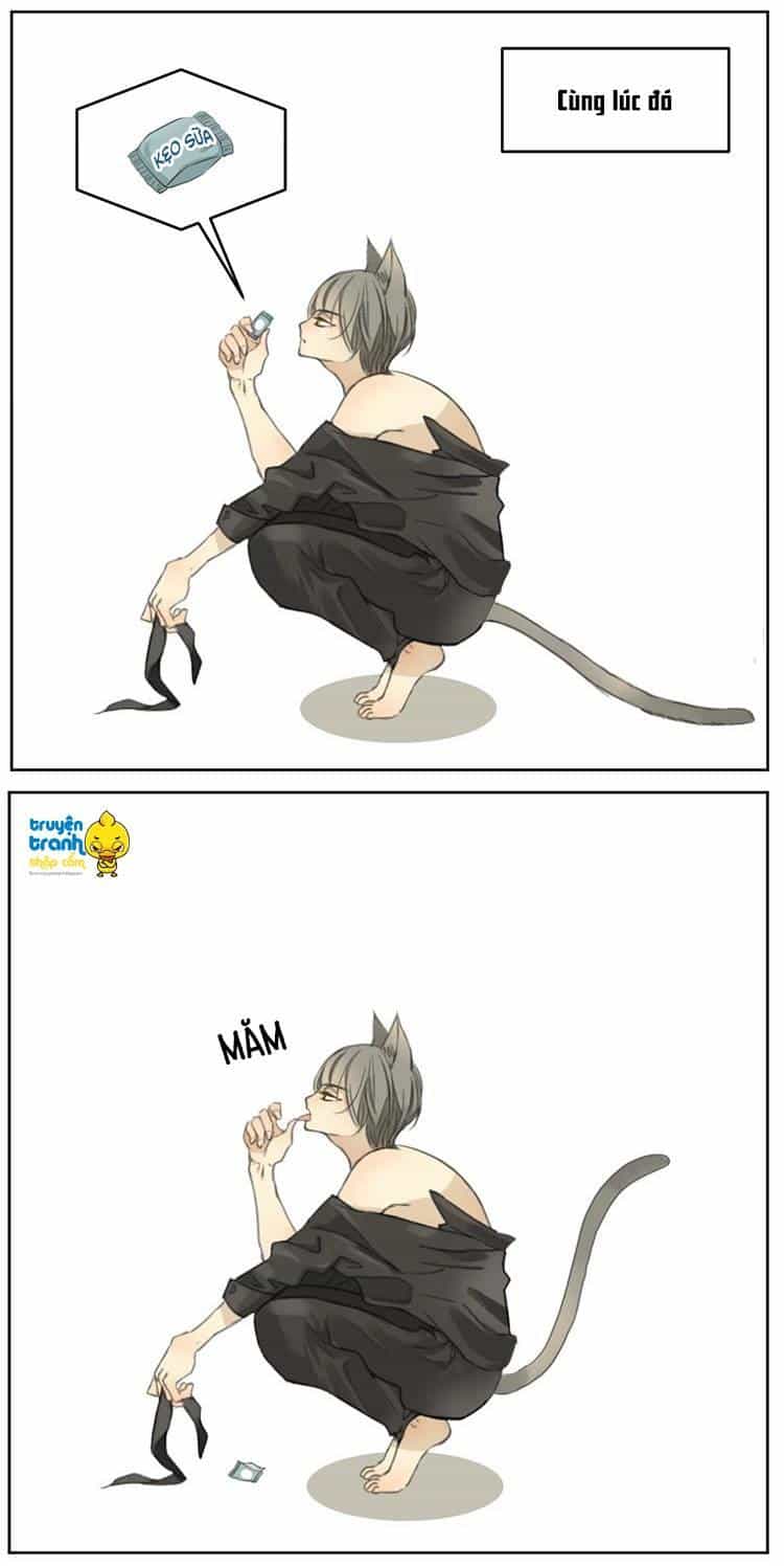 Cứu Mạng! Loài Mèo Thống Trị Thế Giới Rồi! - Chương 2 - ảnh 27