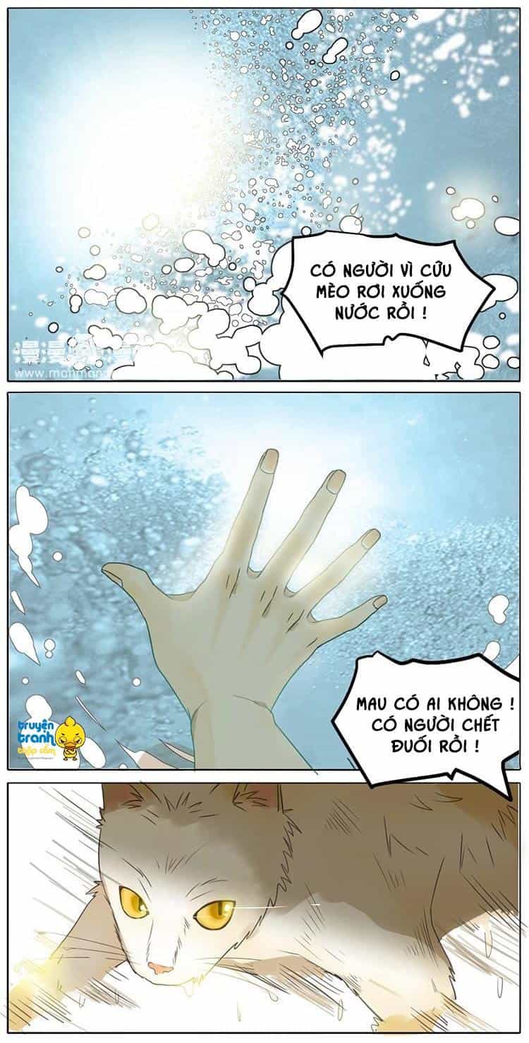 Cứu Mạng! Loài Mèo Thống Trị Thế Giới Rồi! - Chương 2 - ảnh 3