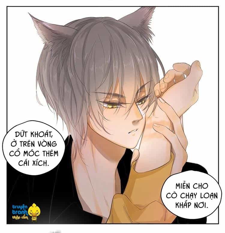 Cứu Mạng! Loài Mèo Thống Trị Thế Giới Rồi! - Chương 21 - ảnh 14