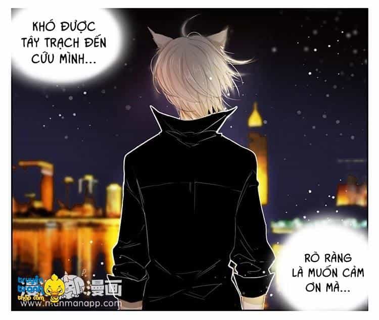 Cứu Mạng! Loài Mèo Thống Trị Thế Giới Rồi! - Chương 21 - ảnh 19