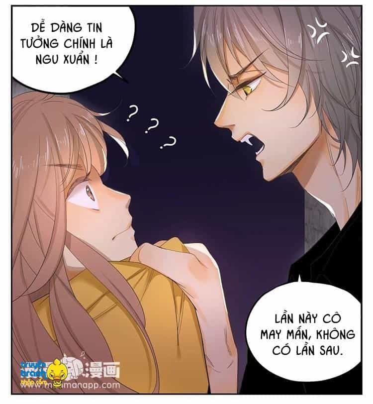 Cứu Mạng! Loài Mèo Thống Trị Thế Giới Rồi! - Chương 21 - ảnh 8