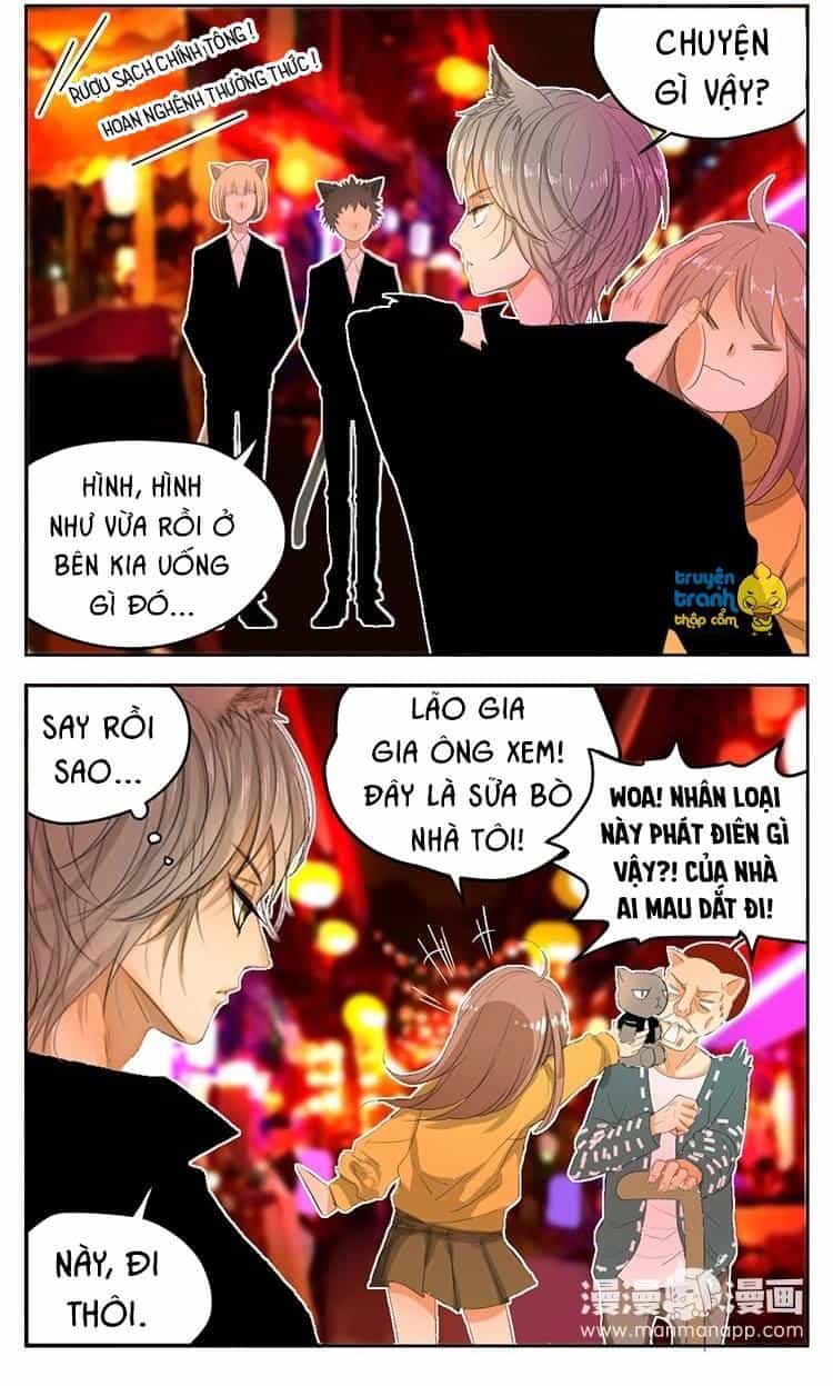 Cứu Mạng! Loài Mèo Thống Trị Thế Giới Rồi! - Chương 23 - ảnh 10