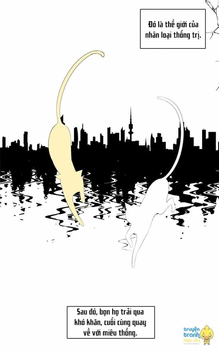 Cứu Mạng! Loài Mèo Thống Trị Thế Giới Rồi! - Chương 23 - ảnh 7