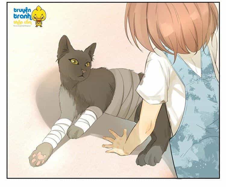 Cứu Mạng! Loài Mèo Thống Trị Thế Giới Rồi! - Chương 24 - ảnh 5