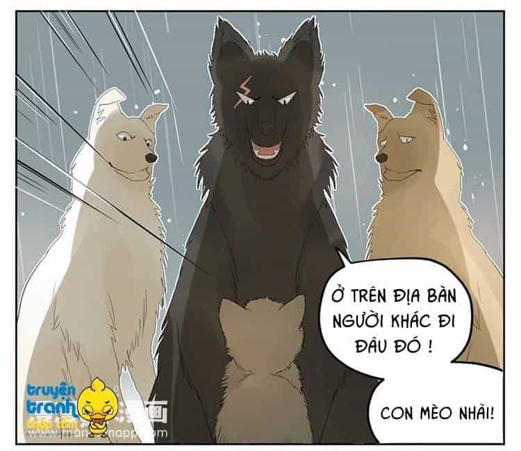 Cứu Mạng! Loài Mèo Thống Trị Thế Giới Rồi! - Chương 25 - ảnh 13
