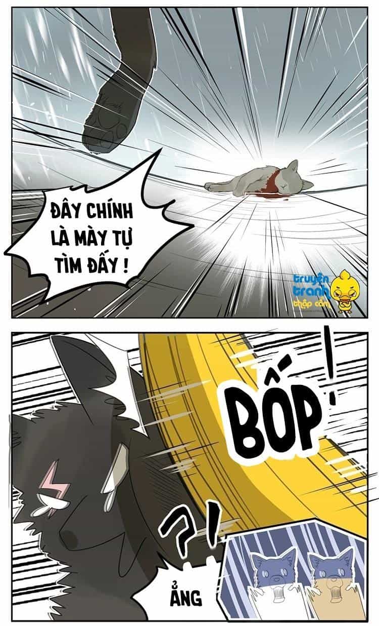 Cứu Mạng! Loài Mèo Thống Trị Thế Giới Rồi! - Chương 25 - ảnh 20