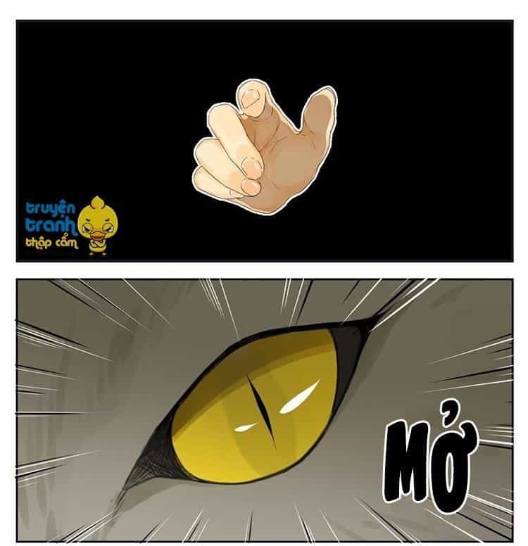 Cứu Mạng! Loài Mèo Thống Trị Thế Giới Rồi! - Chương 25 - ảnh 6