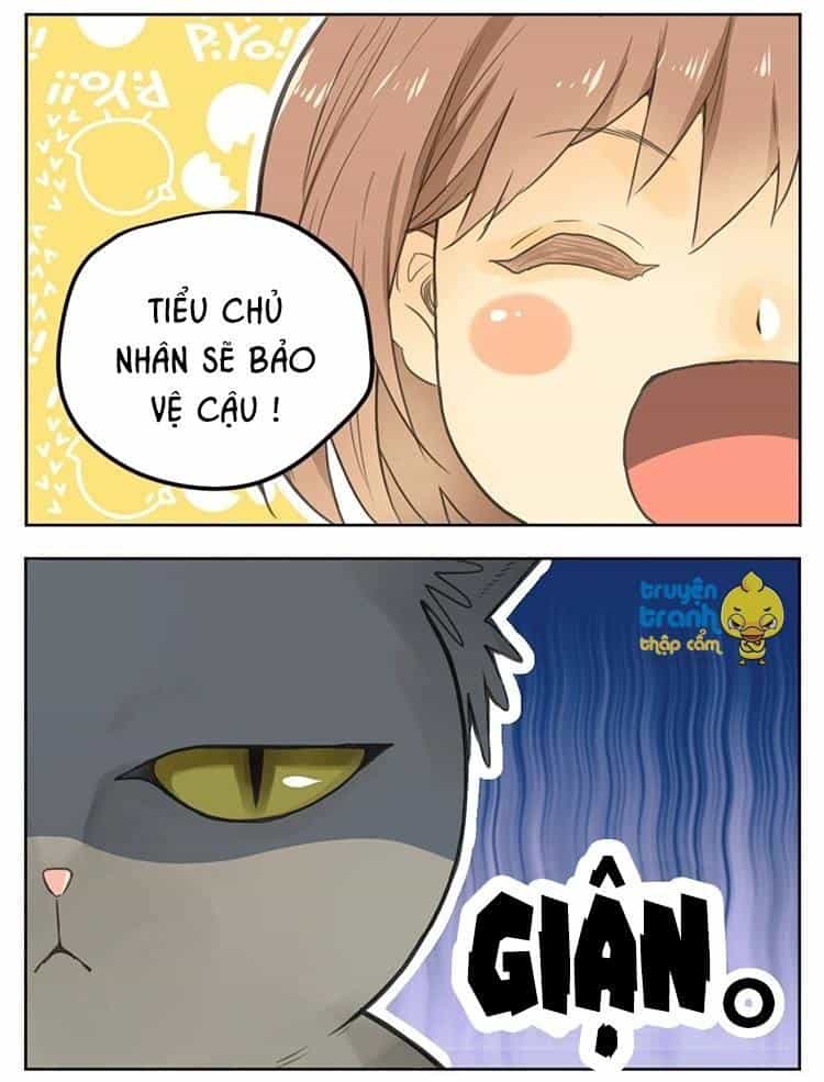 Cứu Mạng! Loài Mèo Thống Trị Thế Giới Rồi! - Chương 25 - ảnh 9