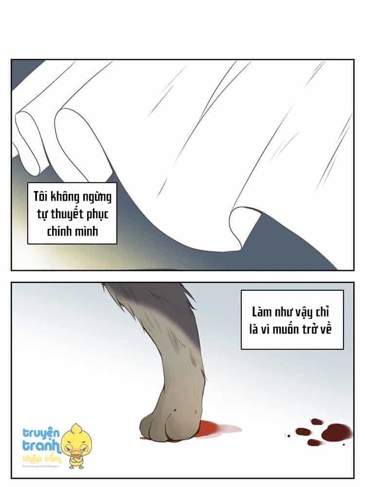 Cứu Mạng! Loài Mèo Thống Trị Thế Giới Rồi! - Chương 26 - ảnh 14