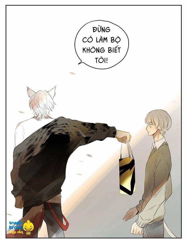 Cứu Mạng! Loài Mèo Thống Trị Thế Giới Rồi! - Chương 28 - ảnh 12
