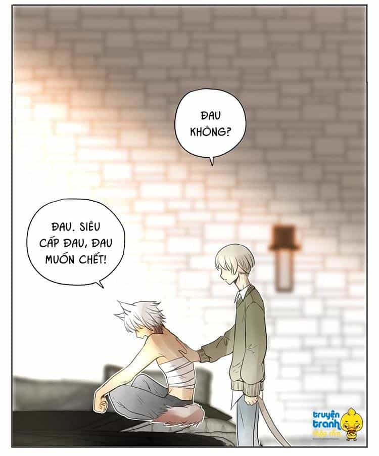 Cứu Mạng! Loài Mèo Thống Trị Thế Giới Rồi! - Chương 29 - ảnh 19