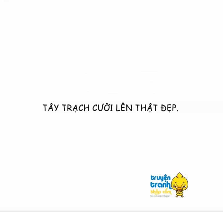 Cứu Mạng! Loài Mèo Thống Trị Thế Giới Rồi! - Chương 31 - ảnh 16