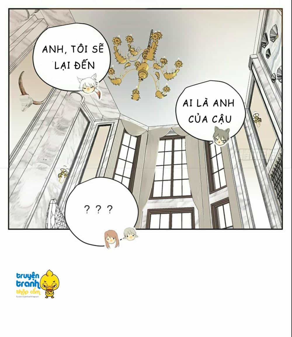 Cứu Mạng! Loài Mèo Thống Trị Thế Giới Rồi! - Chương 32 - ảnh 16