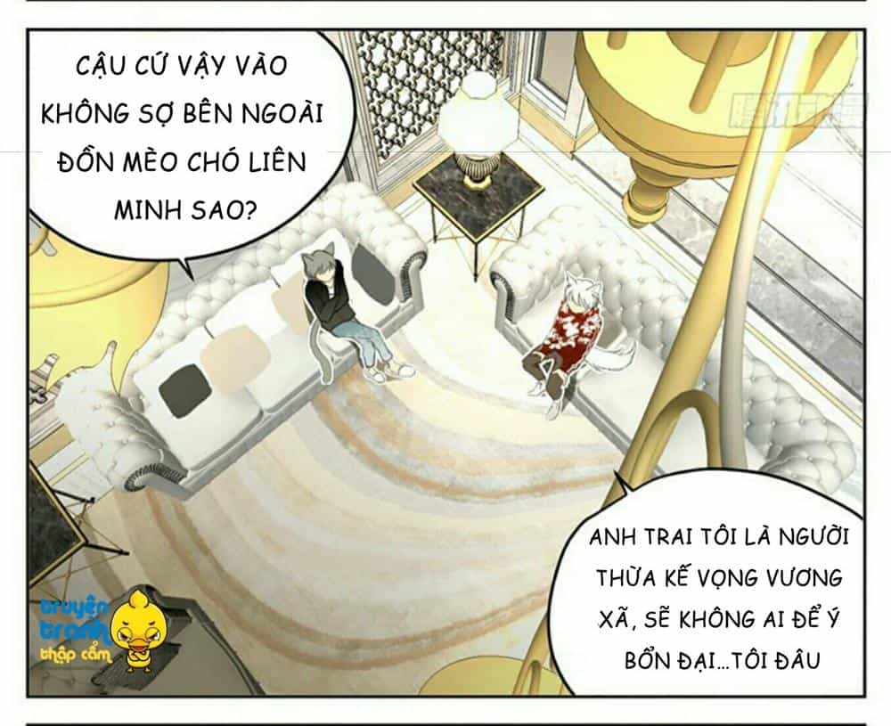 Cứu Mạng! Loài Mèo Thống Trị Thế Giới Rồi! - Chương 32 - ảnh 3