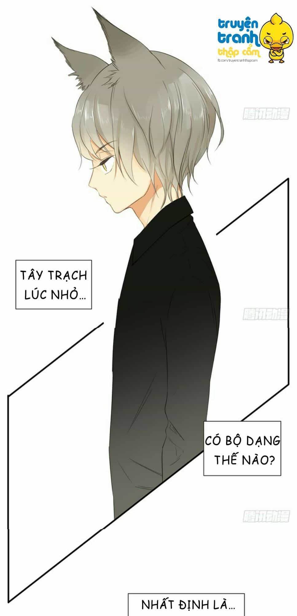 Cứu Mạng! Loài Mèo Thống Trị Thế Giới Rồi! - Chương 34 - ảnh 27