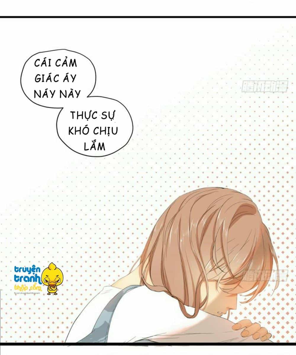 Cứu Mạng! Loài Mèo Thống Trị Thế Giới Rồi! - Chương 35 - ảnh 12