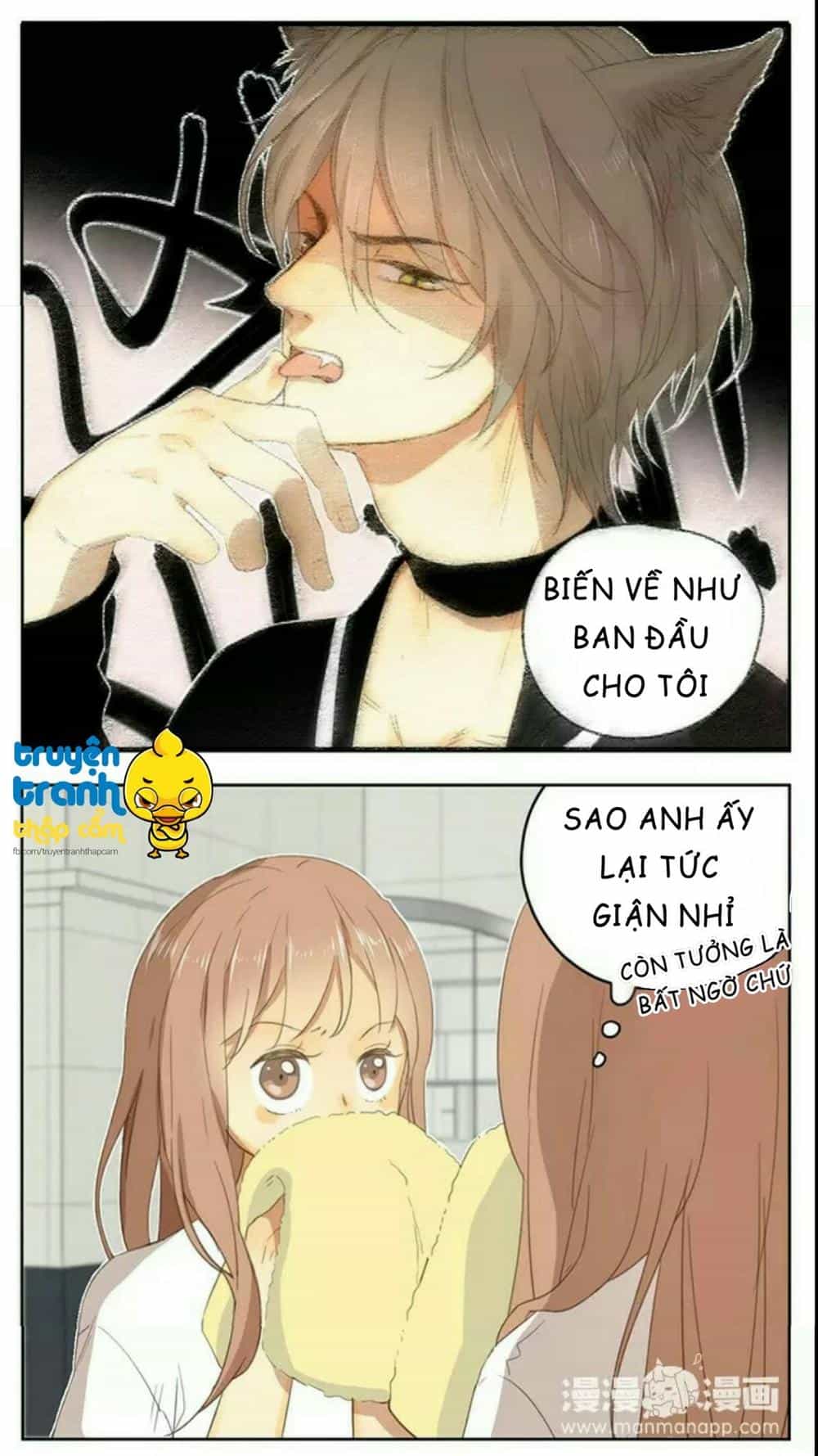 Cứu Mạng! Loài Mèo Thống Trị Thế Giới Rồi! - Chương 36 - ảnh 16