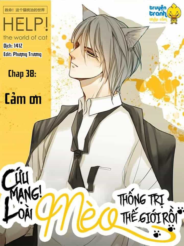 Cứu Mạng! Loài Mèo Thống Trị Thế Giới Rồi! - Chương 38 - ảnh 1