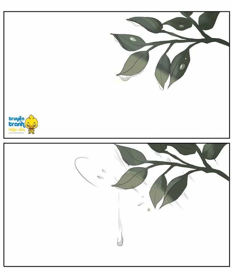 Cứu Mạng! Loài Mèo Thống Trị Thế Giới Rồi! - Chương 5 - ảnh 15