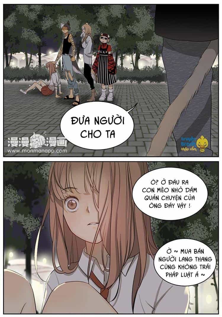 Cứu Mạng! Loài Mèo Thống Trị Thế Giới Rồi! - Chương 6 - ảnh 8