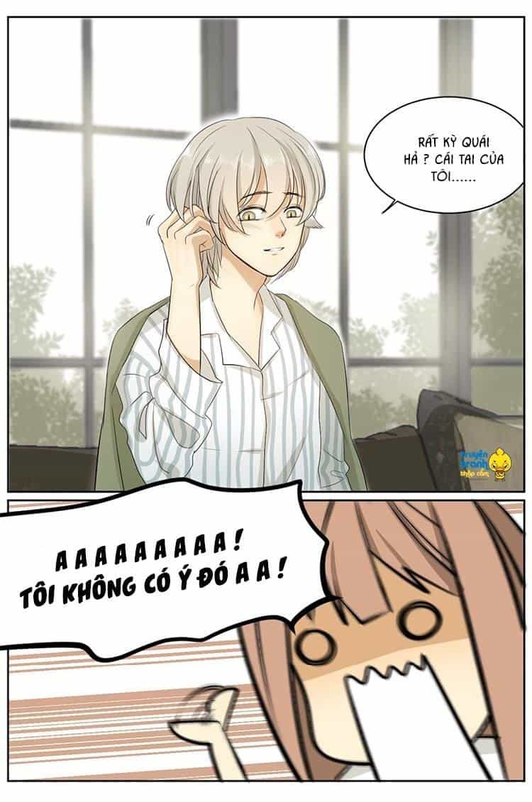 Cứu Mạng! Loài Mèo Thống Trị Thế Giới Rồi! - Chương 8 - ảnh 11