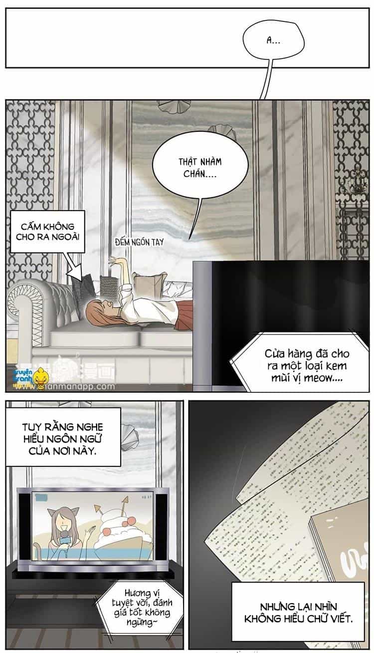 Cứu Mạng! Loài Mèo Thống Trị Thế Giới Rồi! - Chương 8 - ảnh 2