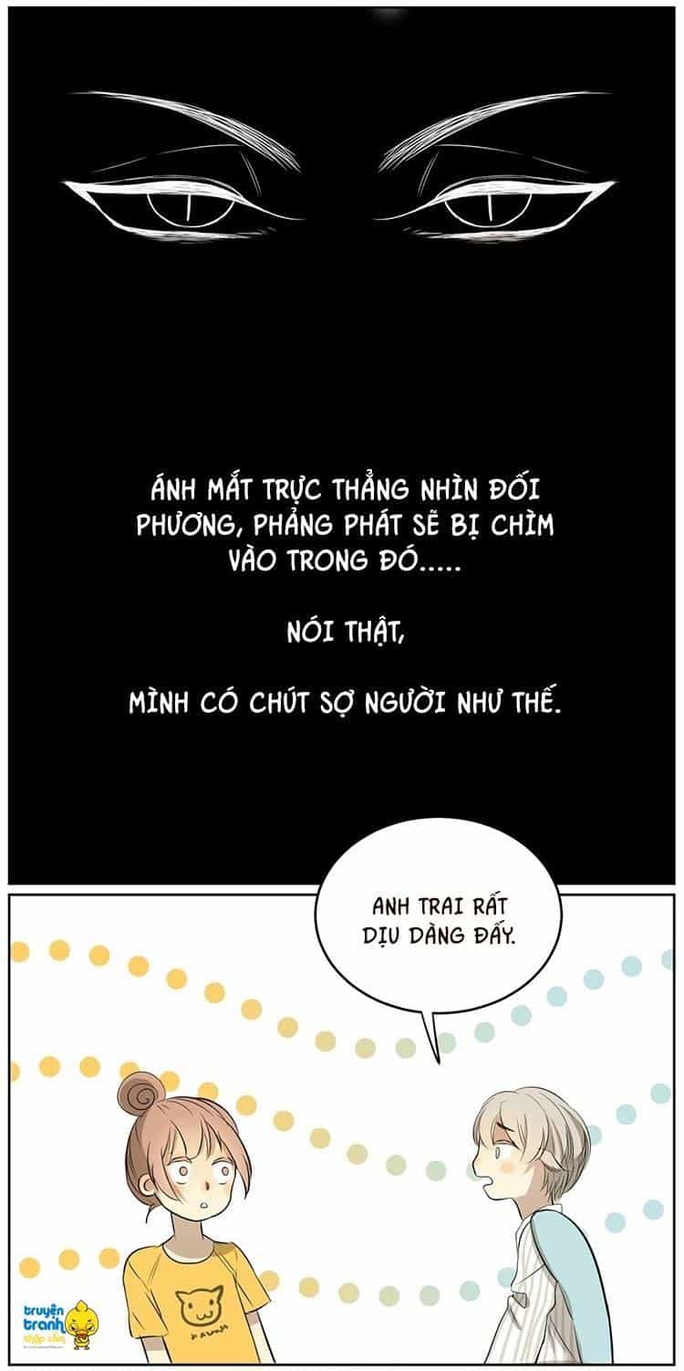 Cứu Mạng! Loài Mèo Thống Trị Thế Giới Rồi! - Chương 9 - ảnh 16