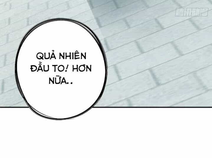 Cửu Tinh Bá Thể Quyết - Chương 19 - ảnh 24