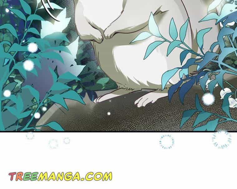 Đã Bảo Nữ Chính Đang Cải Trang Cơ Mà! - Chương 11 - ảnh 32