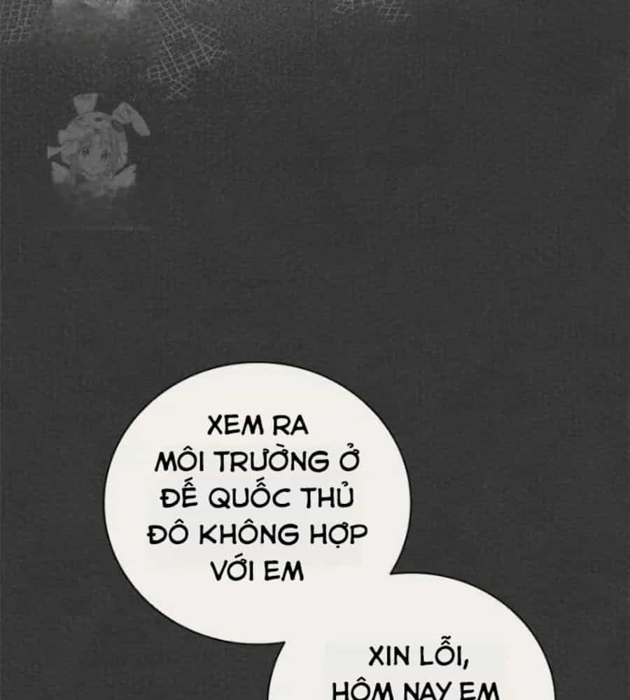 Đã Bảo Nữ Chính Đang Cải Trang Mà - Chương 74 - ảnh 10
