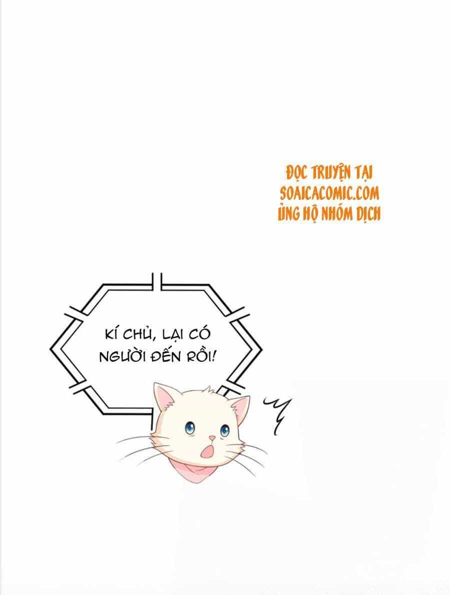 Dã Nam Nhân Đều Muốn Gả Cho Ta - Chương 18 - ảnh 16