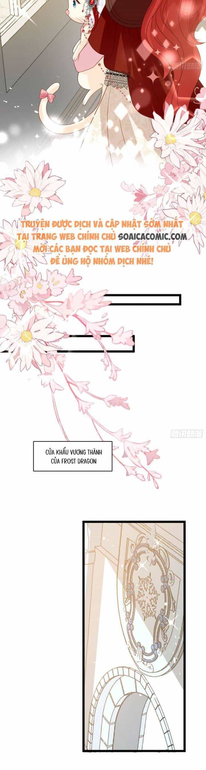 Dã Nam Nhân Đều Muốn Gả Cho Ta - Chương 67 - ảnh 17