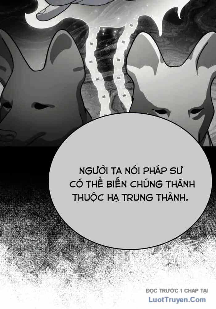 Đa Sắc Ma Pháp Sư Thiên Tài - Chương 52 - ảnh 15