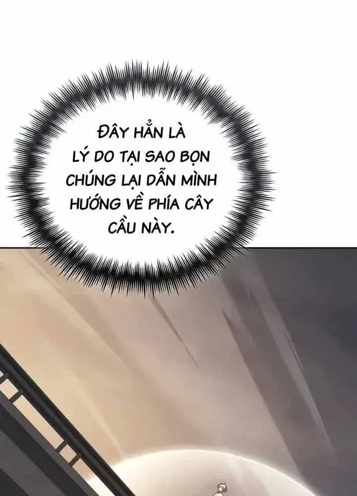 Đa Sắc Ma Pháp Sư Thiên Tài - Chương 74 - ảnh 50