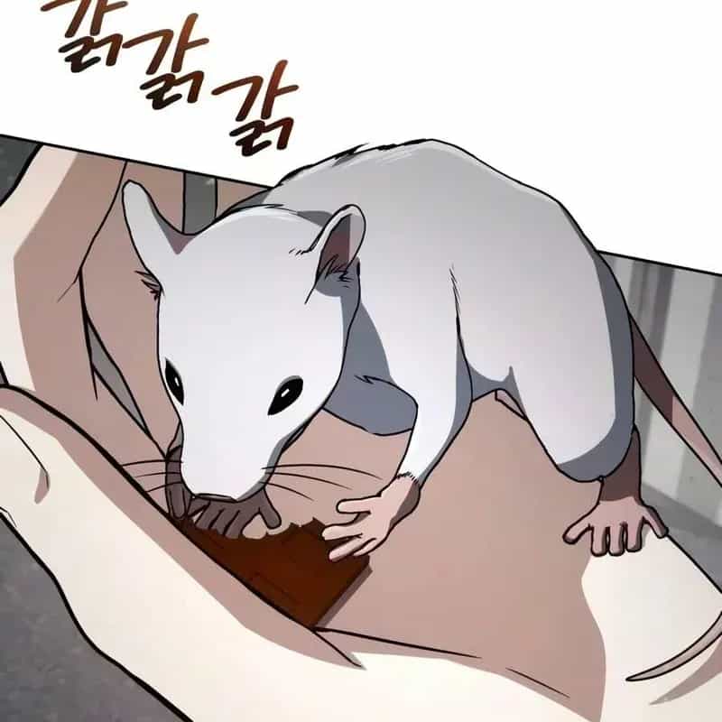 Đa Sắc Ma Pháp Sư Thiên Tài - Chương 76 - ảnh 30