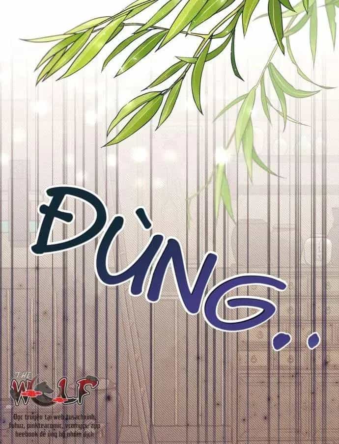 Dabi, Hương Vị Ngây Ngất - Chương 14 - ảnh 50