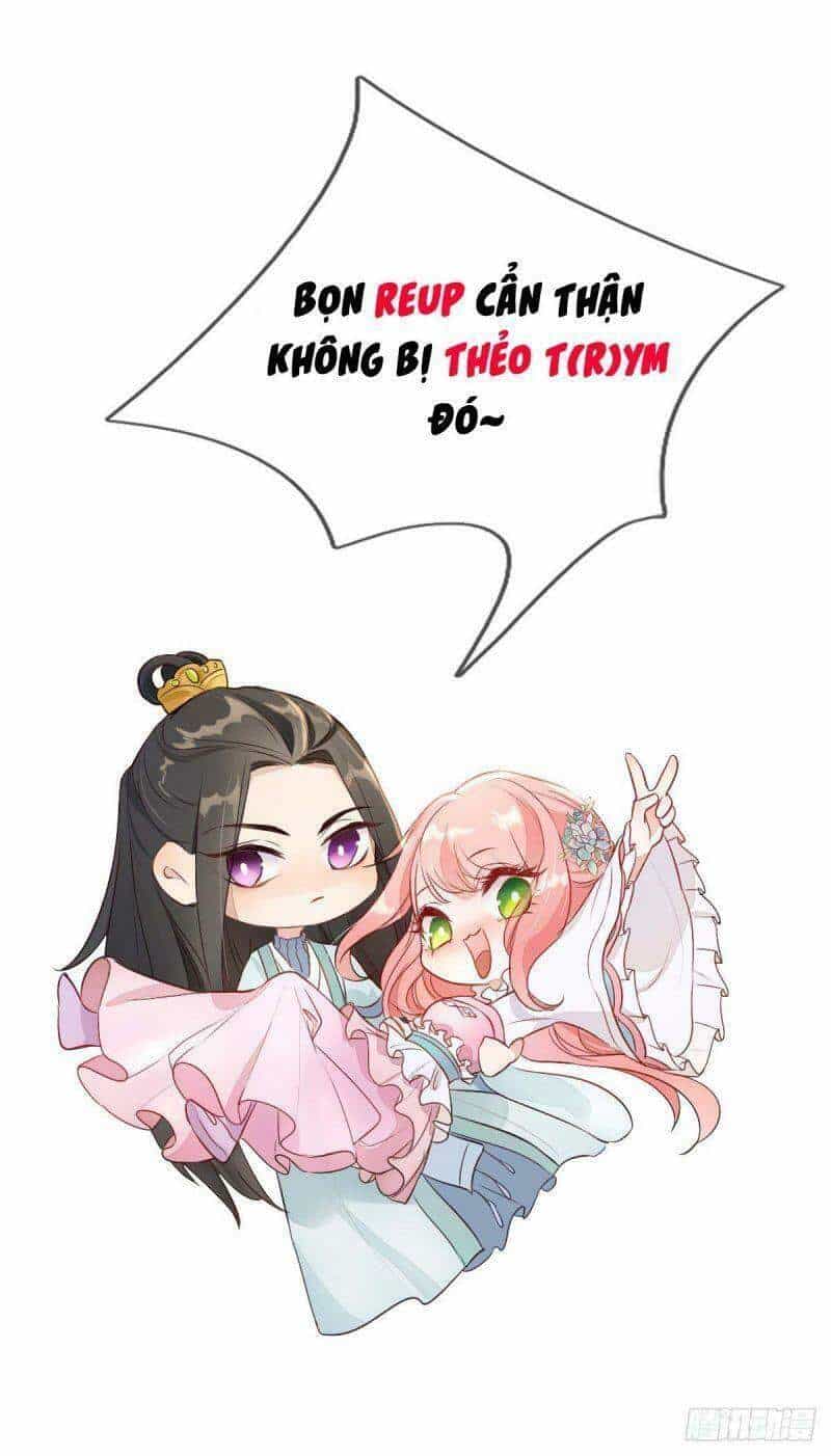 Đặc Công Cuồng Phi: Tuyệt Thế Tu Chân - Chương 24 - ảnh 21
