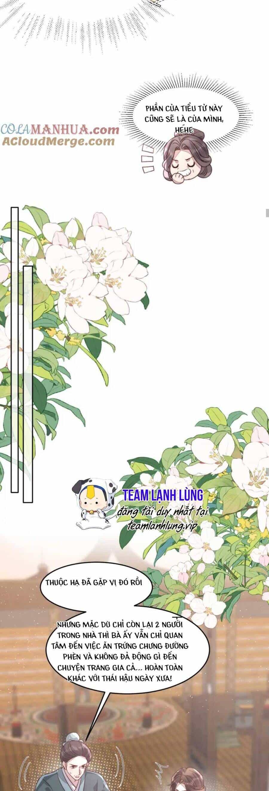 Đặc Công Thần Y Xuyên Không - Chương 72 - ảnh 31