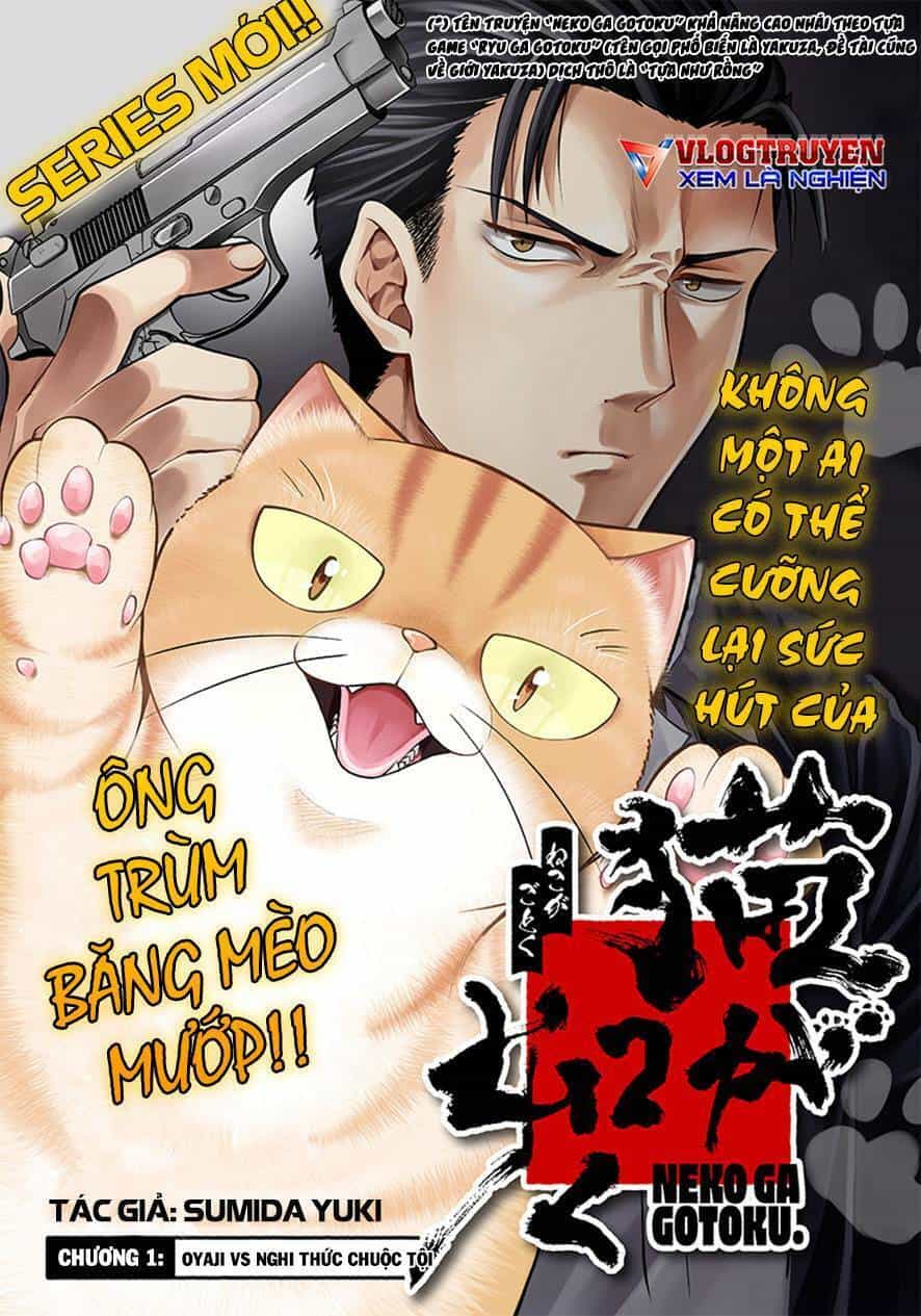 Đại Ca Băng Mèo Mướp - Chương 1 - ảnh 4