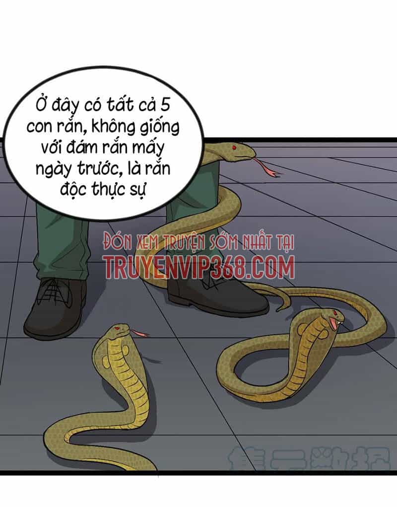 Đai Ca Trở Lại Tuổi 16 - Chương 144 - ảnh 19