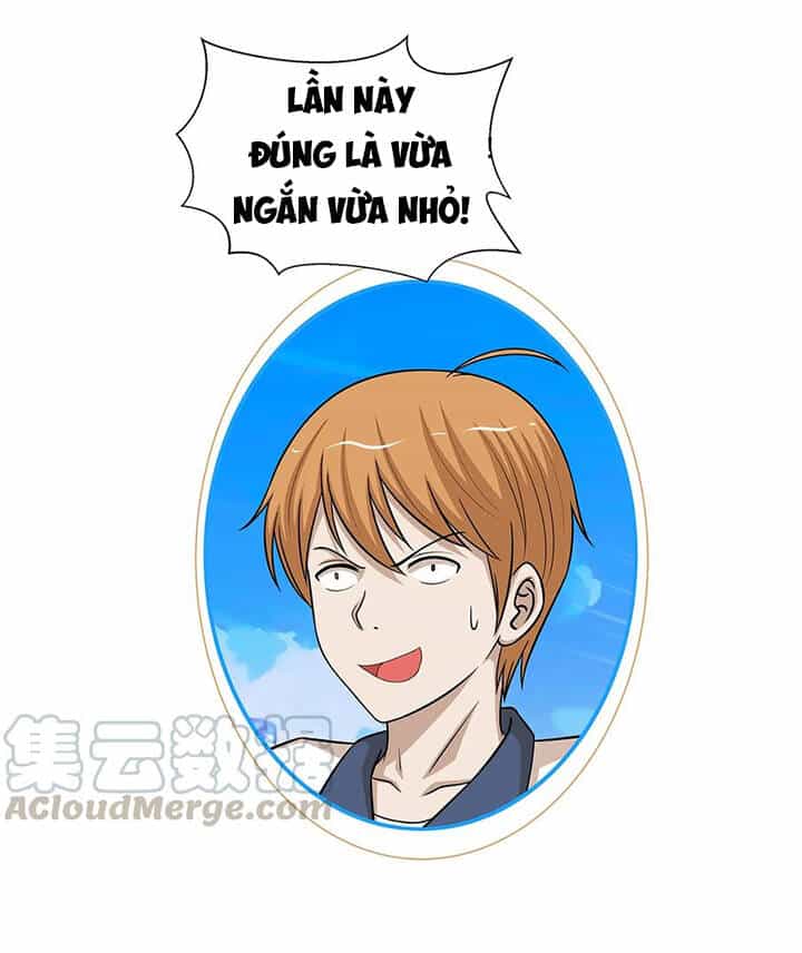 Đai Ca Trở Lại Tuổi 16 - Chương 76 - ảnh 12