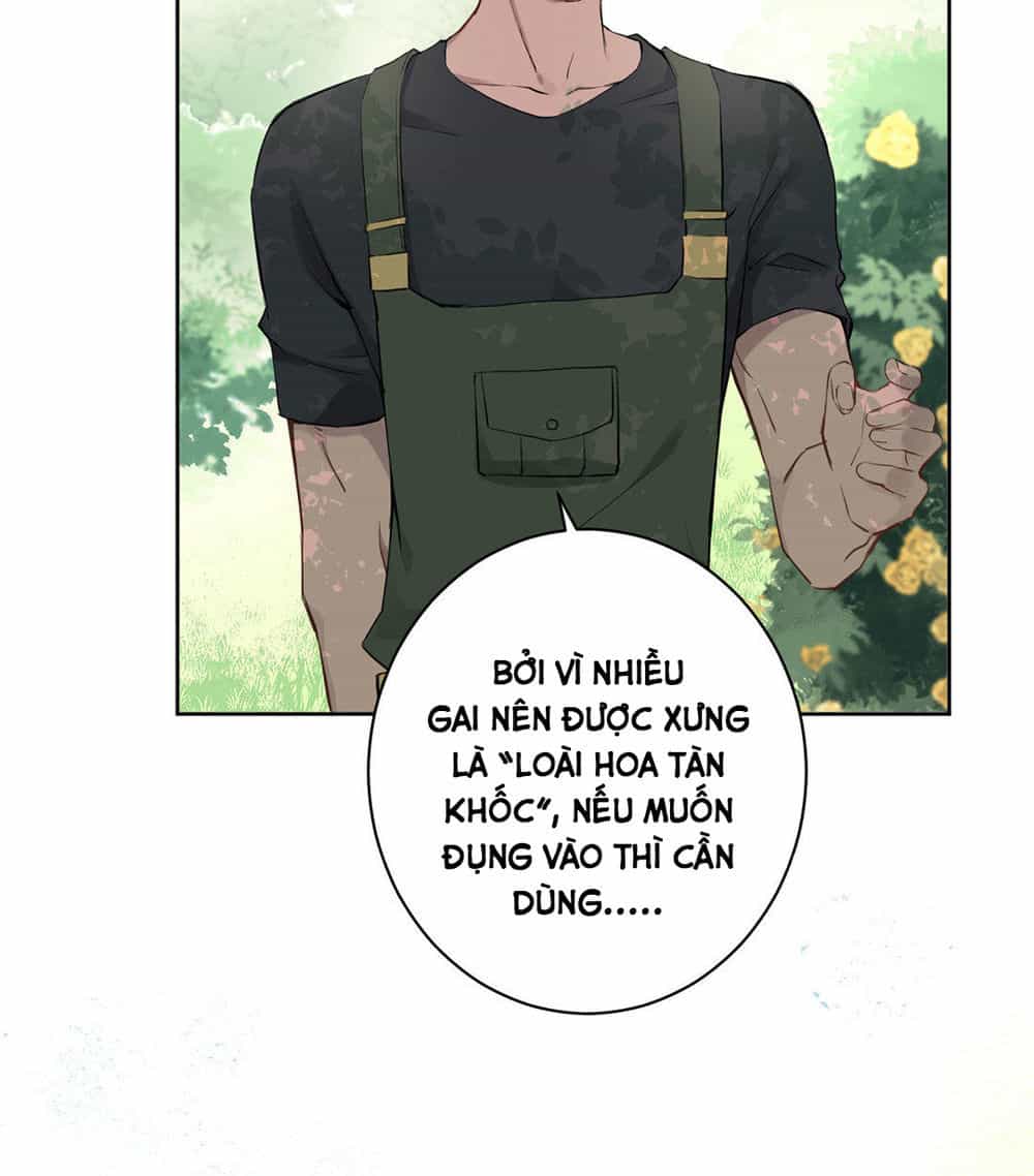 Đại Chiến Công Chúa - Chương 8 - ảnh 7