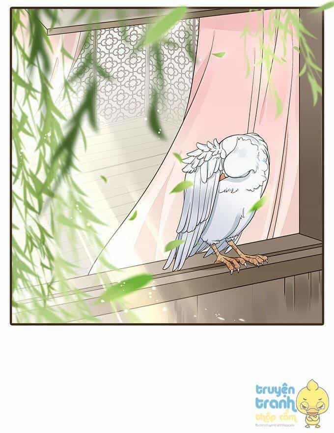 Đại Giá Thừa Tướng - Chương 17 - ảnh 13