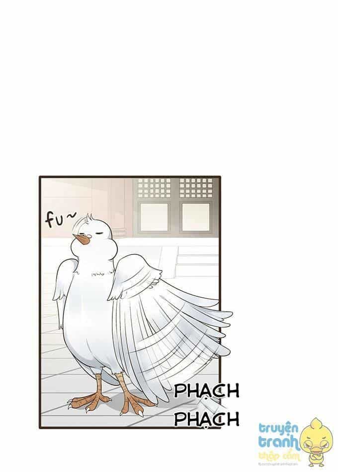Đại Giá Thừa Tướng - Chương 17 - ảnh 39