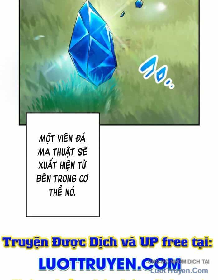 Đại Hiền Giả Sở Hữu Trăm Ma Thạch - Chương 1 - ảnh 13