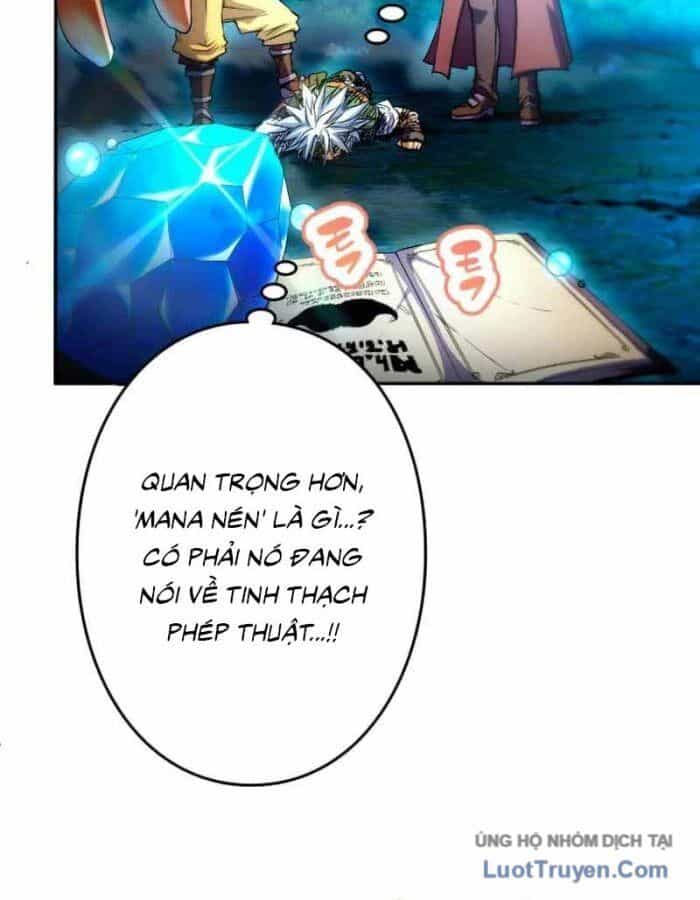 Đại Hiền Giả Sở Hữu Trăm Ma Thạch - Chương 4 - ảnh 113