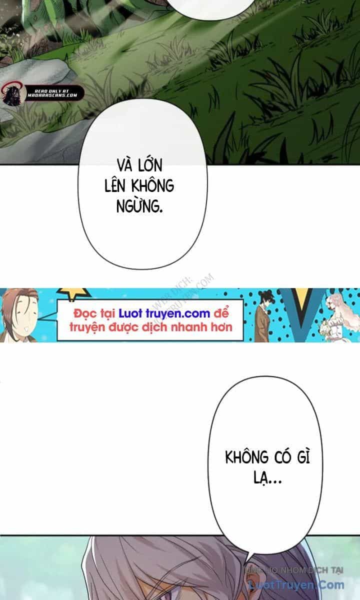 Đại Hiền Giả Sở Hữu Trăm Ma Thạch - Chương 8 - ảnh 3