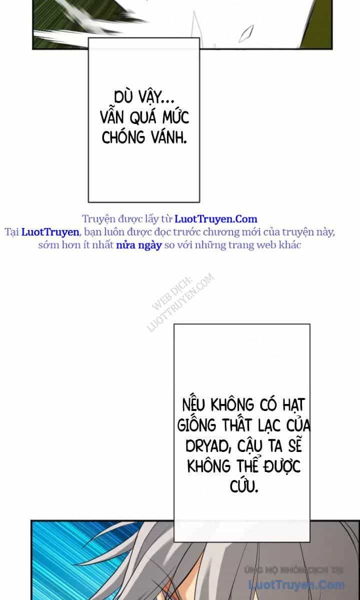 Đại Hiền Giả Sở Hữu Trăm Ma Thạch - Chương 8 - ảnh 43