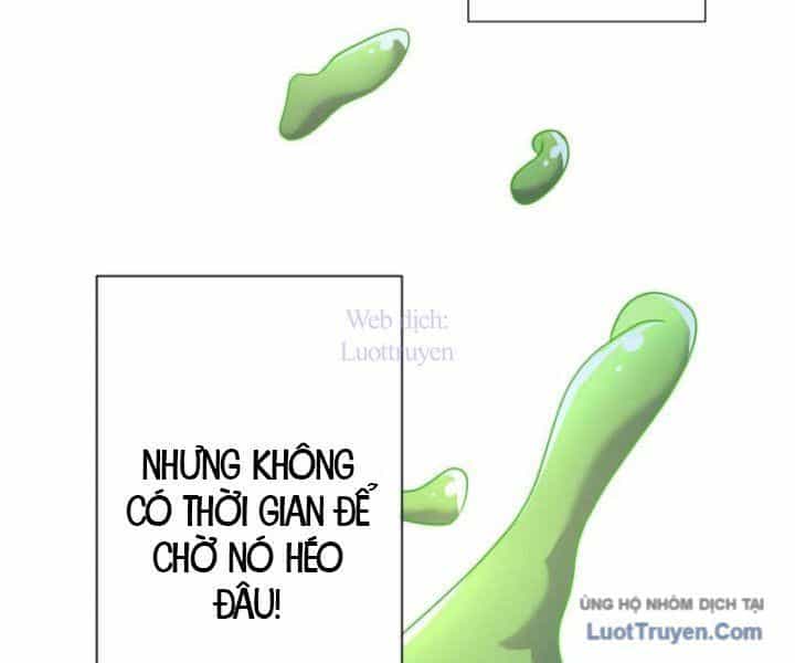 Đại Hiền Giả Sở Hữu Trăm Ma Thạch - Chương 9 - ảnh 92