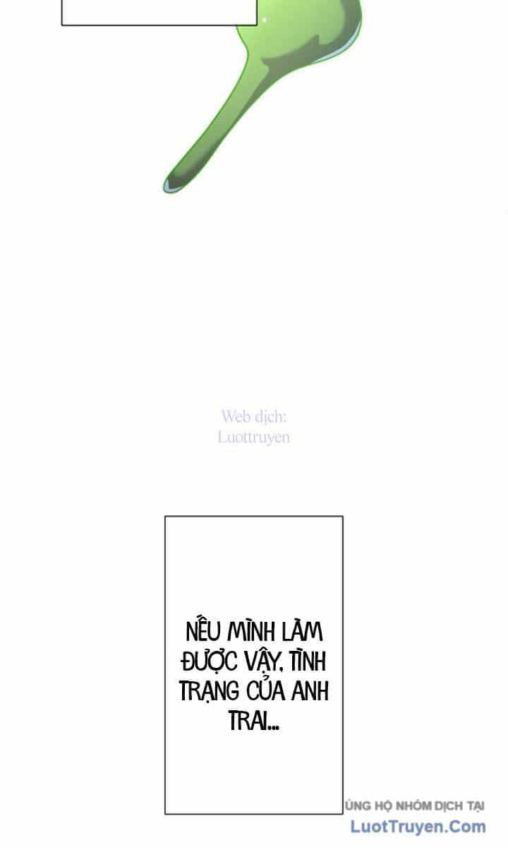 Đại Hiền Giả Sở Hữu Trăm Ma Thạch - Chương 9 - ảnh 93